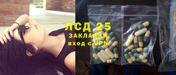 соль ск Вяземский