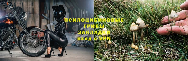 a pvp Лихославль