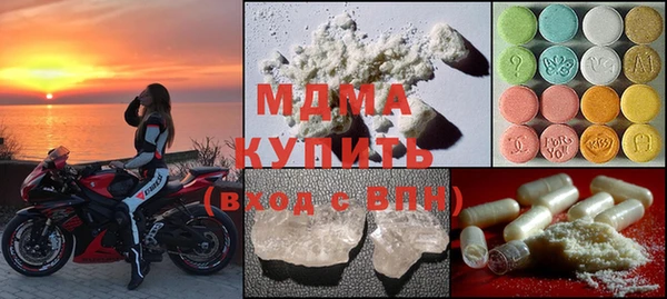 прущие грибы Вязьма