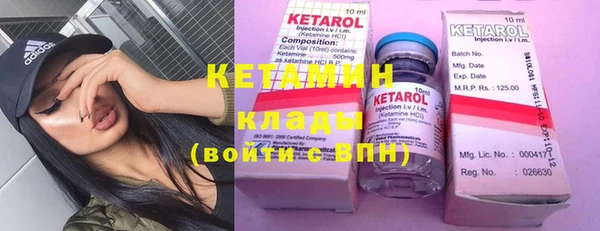 прущие грибы Вязьма