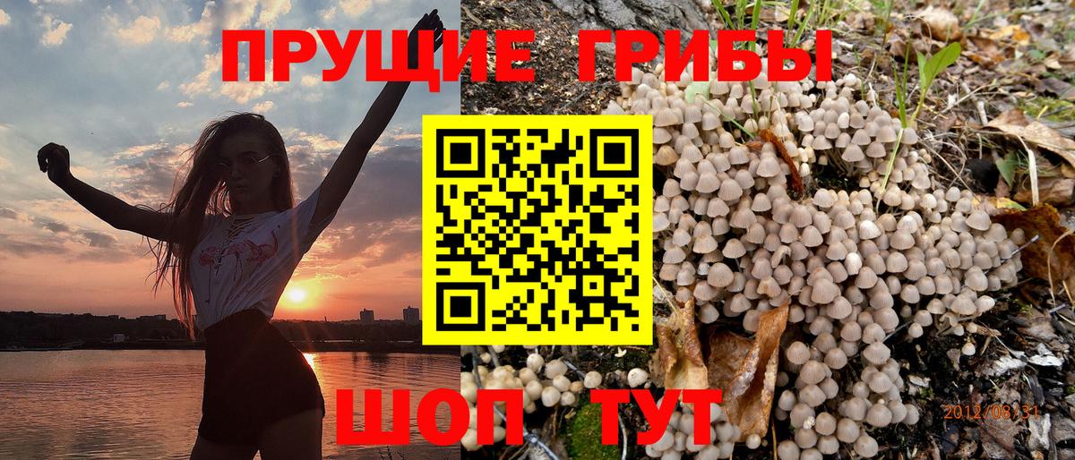 Галлюциногенные грибы Magic Shrooms  Галлюциногенные грибы Psilocybine cubensis  Вход с VPN  Дивногорск 